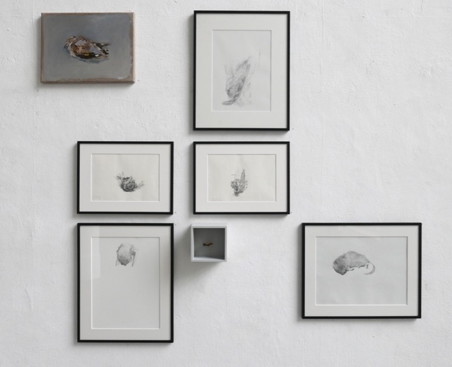 Ausstellungsansicht