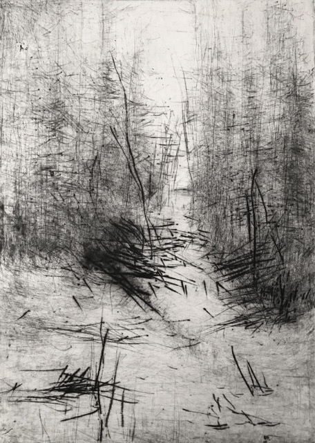 Des Weges