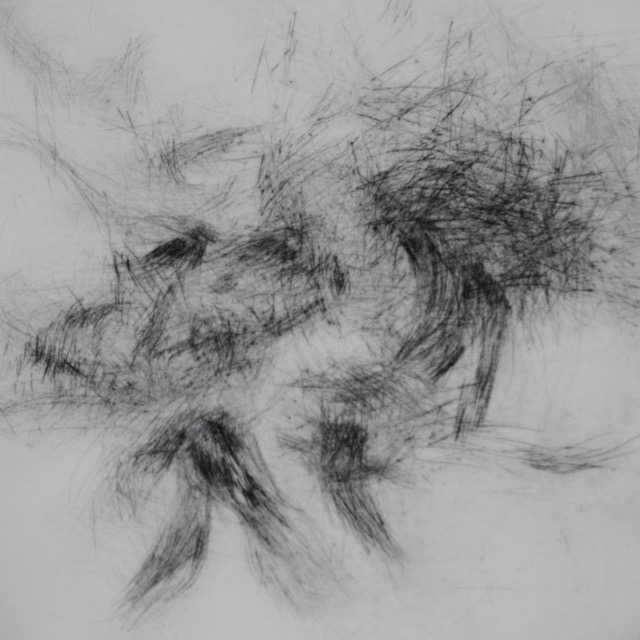 Wind & Fell