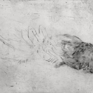 image1.jpeg