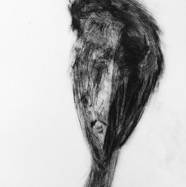 A1f+qhdgTsSihnxg8lW0kg_thumb_2e681.jpg