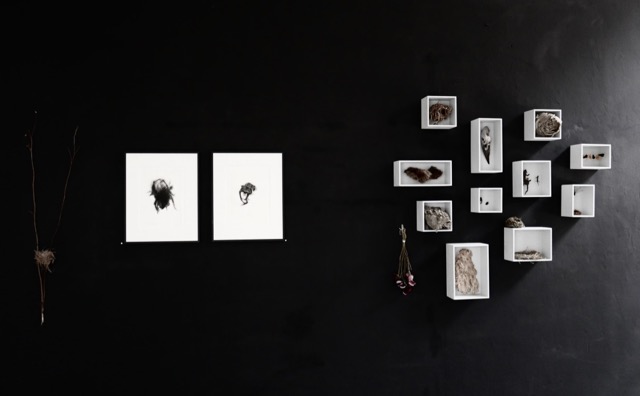 Ausstellungsansicht