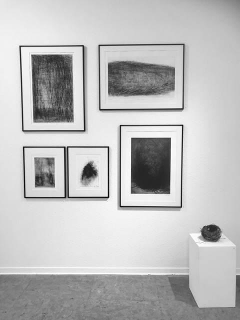 Ausstellungsansicht BBK